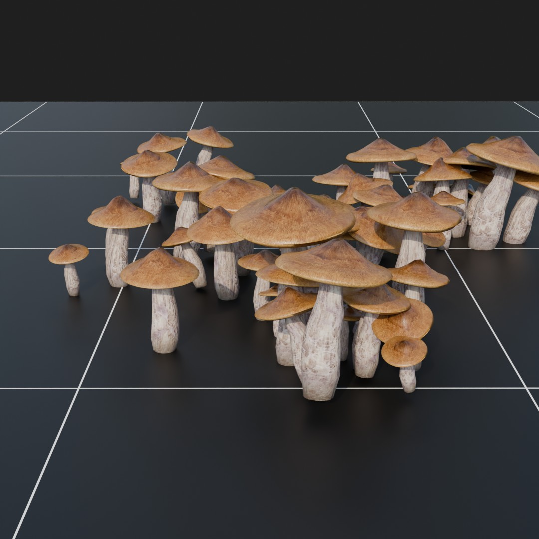Forest Floor Mushroom Collection 1